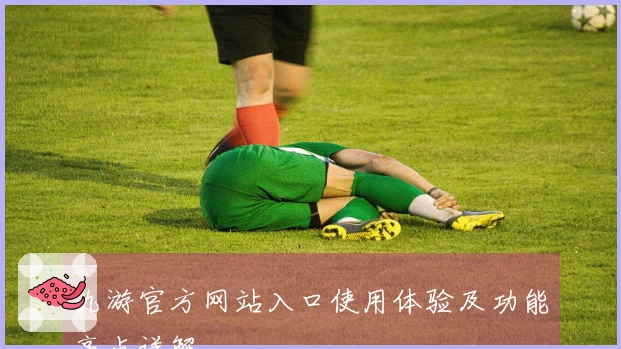 九游官方网站入口使用体验及功能亮点详解